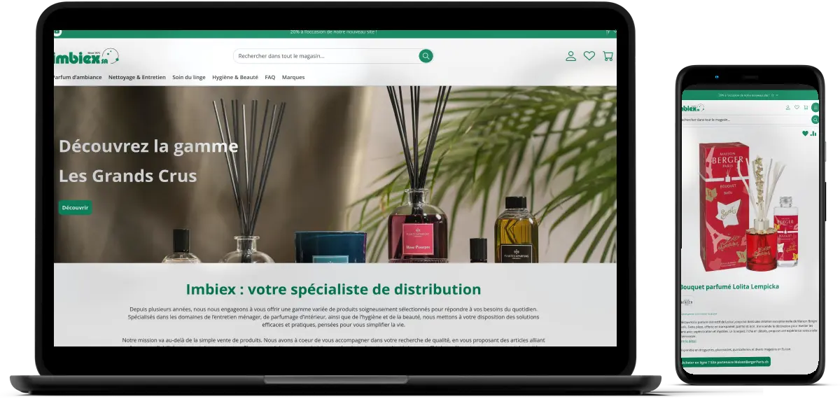 Aperçus ordinateur et mobile du site Imbiex